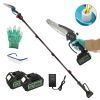 2-In-1 8” Cordless Electric Pole Saw and Mini Chainsaw