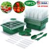 Seed Starter Tray Kit