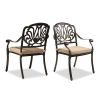 Set of 2 Cast Aluminum Patio Dining Chairs with Cushions
