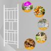 Garden Trellis 28"W x 75"H
