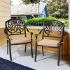 Set of 2 Cast Aluminum Patio Dining Chairs with Cushions
