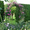 78"H x 45"W Metal Garden Arch Trellis