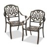 Set of 2 Cast Aluminum Patio Dining Chairs