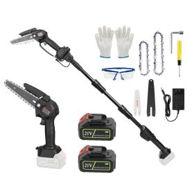 2-in-1 Cordless Pole Saw & Mini Chainsaw