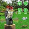 Solar Powered Owl Decoy with Flashing Eye Hoot Sound I