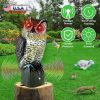 Solar Powered Owl Decoy with Flashing Eye Hoot Sound I