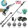2-In-1 8” Cordless Electric Pole Saw and Mini Chainsaw