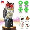 Solar Powered Owl Decoy with Flashing Eye Hoot Sound I