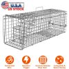 Humane Cat Trap Cage Catch Release