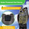 Solar Powered Owl Decoy with Flashing Eye Hoot Sound I