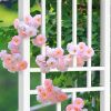 Garden Trellis 28"W x 75"H