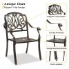 Set of 2 Cast Aluminum Patio Dining Chairs