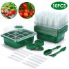 Seed Starter Tray Kit
