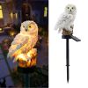 Solar Owl Garden Light