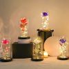 2023 LED Enchanted Galaxy Rose Lights