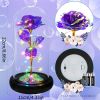 2023 LED Enchanted Galaxy Rose Lights