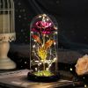 2023 LED Enchanted Galaxy Rose Lights