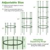 3-Pack Garden Trellis