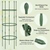 3-Pack Garden Trellis
