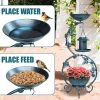 Bird Bath and Solar Bird Feeders Combo