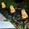 Solar Owl Garden Light